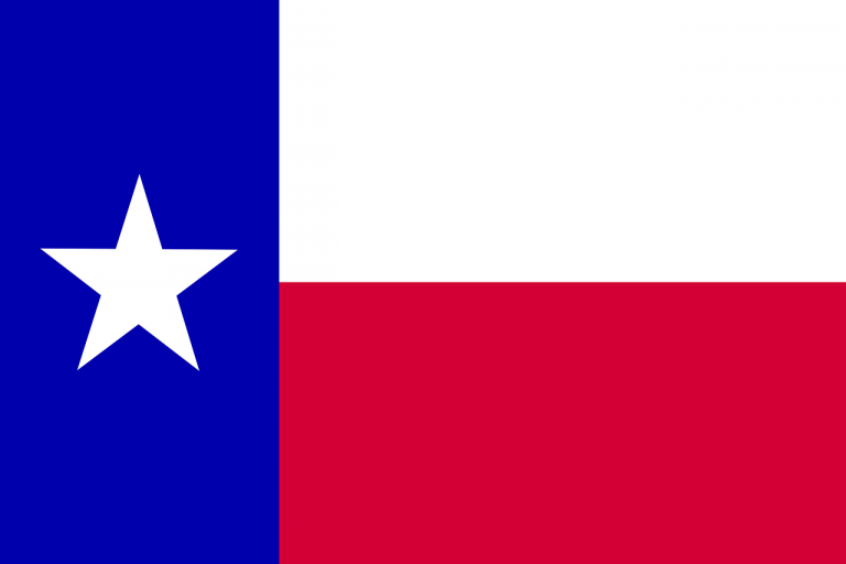 Texas State Flag