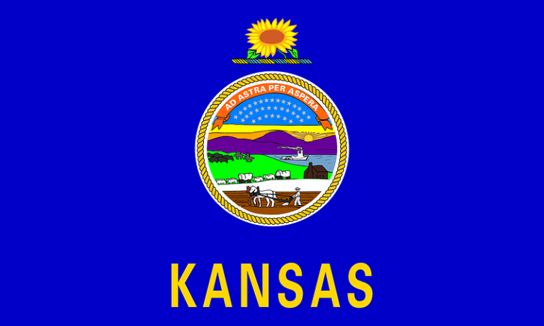 Kansas Flag